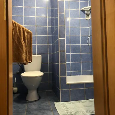 Privat Migac Apartment Vrbov Exterior photo